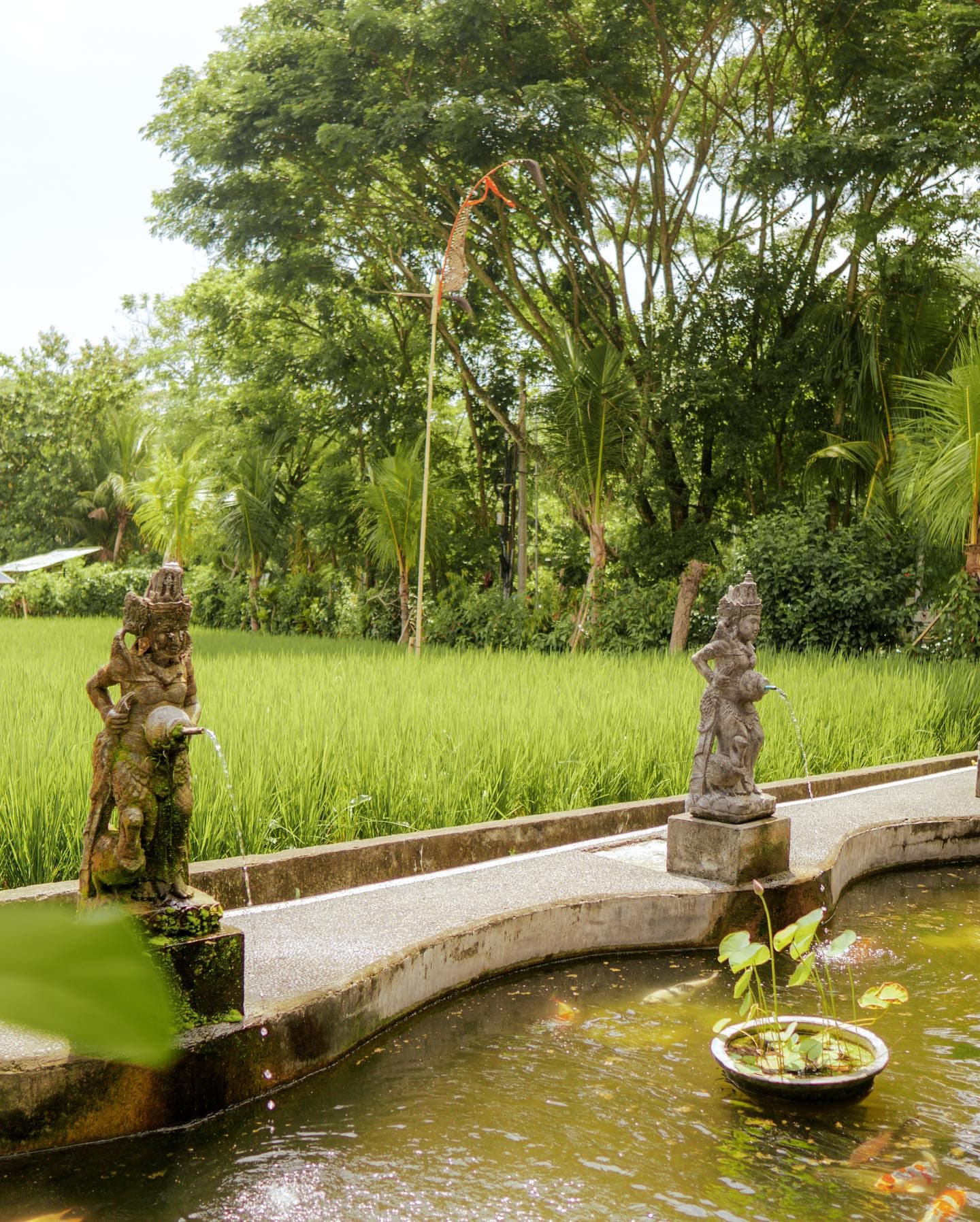 tropical-view-ubud-40